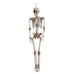 Halloween Pop Skelet 160cm, Hobby & Loisirs créatifs, Verzenden