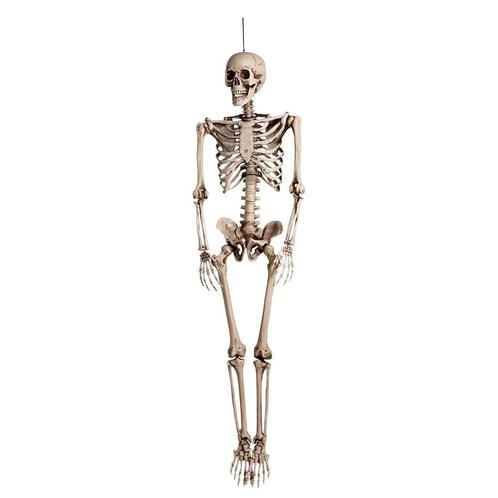 Halloween Pop Skelet 160cm, Hobby & Loisirs créatifs, Articles de fête, Envoi