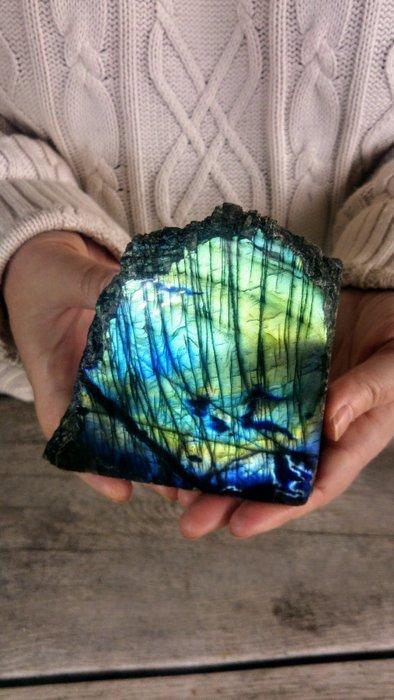 Turquoise - Couleurs or bleu Labradorite, Forme libre -, Verzamelen, Dierenverzamelingen