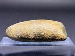 Neolithisch Steen Werktuig - 70 mm - Polished Axe (Zonder, Antiek en Kunst