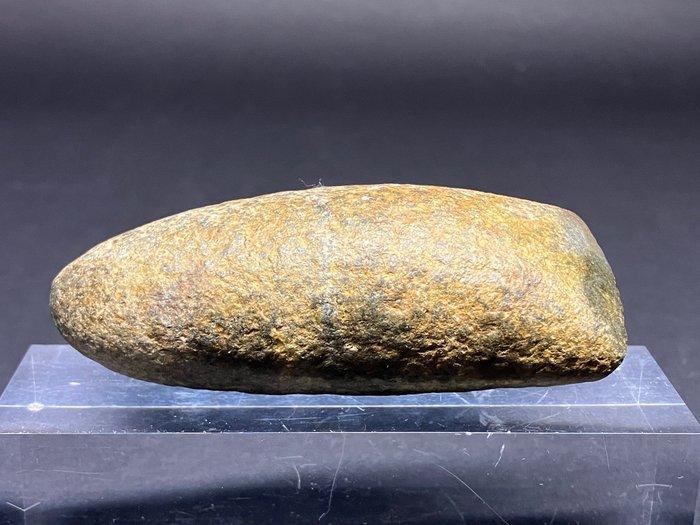 Neolithisch Steen Werktuig - 70 mm - Polished Axe (Zonder, Antiek en Kunst, Antiek | Overige Antiek