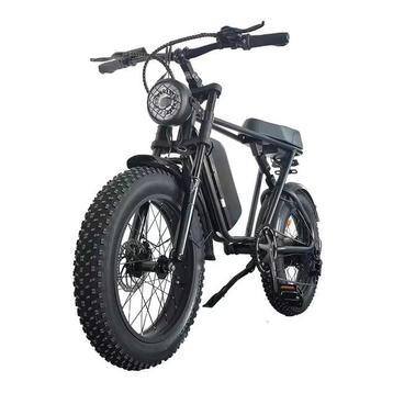 C91 Elektrische Fiets - Off-Road Smart Fatbike - 250W - 13