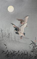 Wild Duck - Tsuchiya Koitsu (1870-1949) - Japan