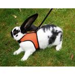 Harnais pour cochon dinde sport, 120 cm - kerbl, Animaux & Accessoires, Neuf