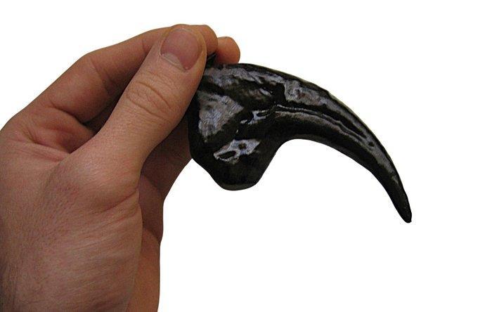 Allosaurus-klauw (REPLICA) Zonder reserveprijs Klauw -, Collections, Minéraux & Fossiles
