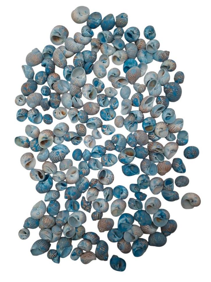 Pulla Muttai Schelpen Blauw 500 gram, Hobby en Vrije tijd, Knutselen, Nieuw