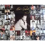 Metalen wandborden Elvis Presley - Veel muziek schilden, Collections, Musique, Artistes & Célébrités, Poster, Artwork of Schilderij