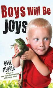 Boys Will be Joys by Dave Meurer (Paperback) softback), Boeken, Overige Boeken, Gelezen, Verzenden
