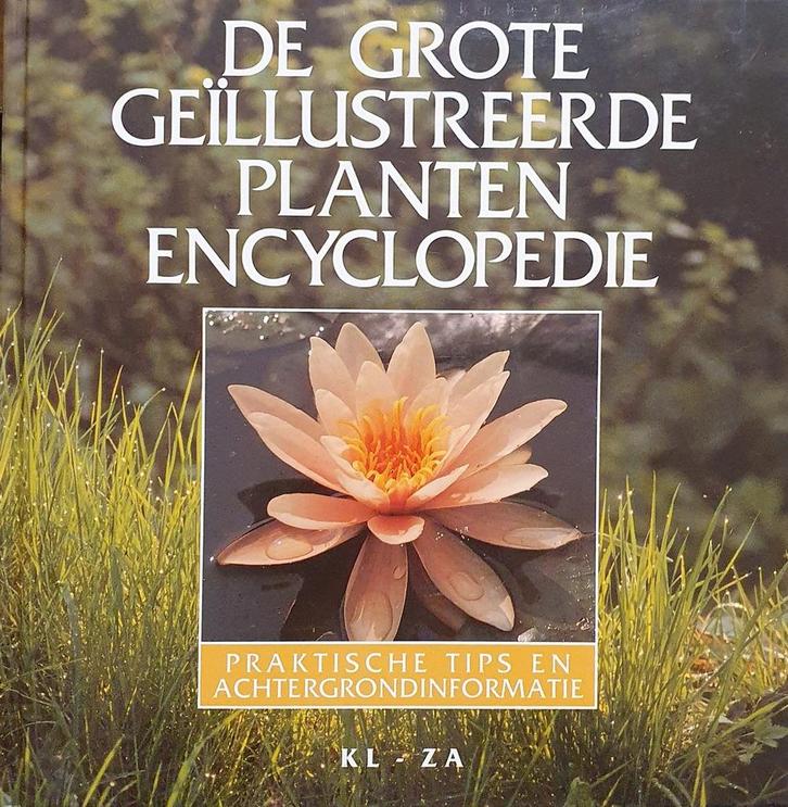 Grote geillustreerde plantenencyclopedie kl-za 9789051121957, Livres, Loisirs & Temps libre, Envoi
