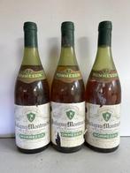 1977 Mommessin - Puligny Montrachet - 3 Flessen (0.75 liter), Collections, Vins