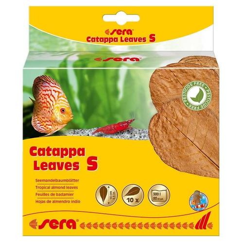 Sera Catappa Leaves Small 10 stuks, Dieren en Toebehoren, Vissen | Aquaria en Toebehoren, Nieuw, Ophalen of Verzenden