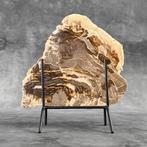 Magnifique tranche de bois pétrifié sur un socle