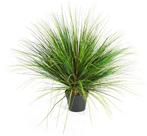 Kunstplant Onion Gras Groen 65 cm, Huis en Inrichting, Kamerplanten, Verzenden