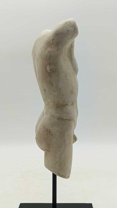 sculptuur, Torso maschile - 3,3 kg - 40 cm - marmerstof, Antiek en Kunst, Curiosa en Brocante
