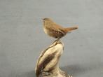 European Wren Taxidermie volledige montage - Wren, Verzamelen, Nieuw