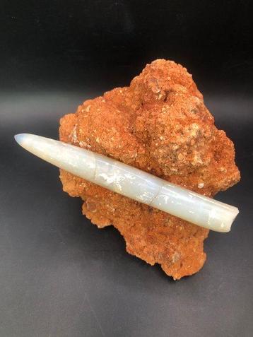 Belemniet - Gefossiliseerd dier - Opalized Belemnite from