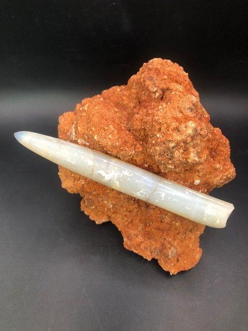 Belemniet - Gefossiliseerd dier - Opalized Belemnite from, Verzamelen, Mineralen en Fossielen