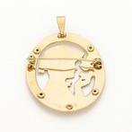 Broche - 14 karaat Geel goud Saffier - Robijn -