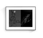 Susana Galbis - Half moon, half life