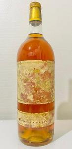 1981 Chateau dYquem - Sauternes 1er Cru Supérieur - 1, Verzamelen, Wijnen, Nieuw