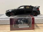 Motorhelix 1:18 - Modelauto - Honda civic type R (FL5)
