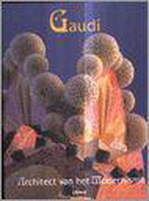 Gaudi - L. Tolosa 9789057642791, Livres, Art & Culture | Architecture, Envoi