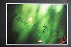 Viet Ha Tran - The infinite silence