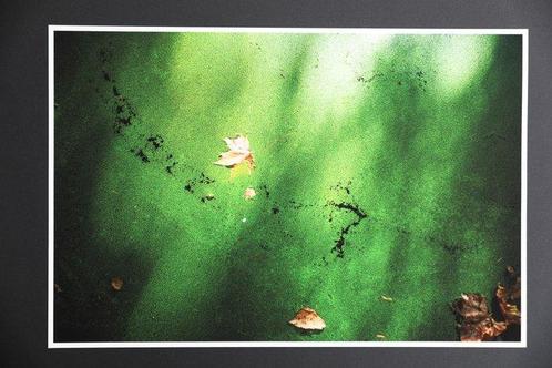 Viet Ha Tran - The infinite silence, Antiek en Kunst, Kunst | Schilderijen | Modern
