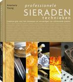 Professionele sieradentechnieken 9789089981790, Boeken, Verzenden, Gelezen, Anastasia Young