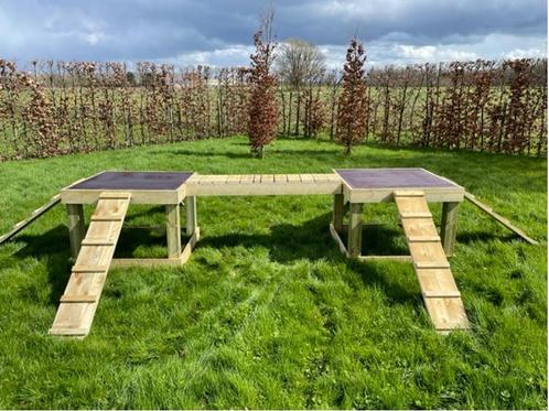 speeltuig voor geiten : 2 terrassen met loopplanken, Dieren en Toebehoren, Stalling en Weidegang