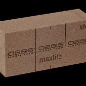 Oasis NATUREBASE BIO Floral foam Brick Oasis Ideaal 20, Huis en Inrichting, Woonaccessoires | Kunstplanten en Kunstbloemen, Nieuw