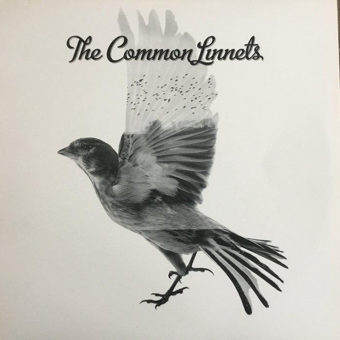 THE COMMON LINNETS - The Common Linnets - LP album (op, Cd's en Dvd's, Vinyl Singles