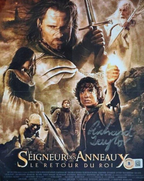 The Lord of the Rings: The Return of the King - Richard, Collections, Cinéma & Télévision