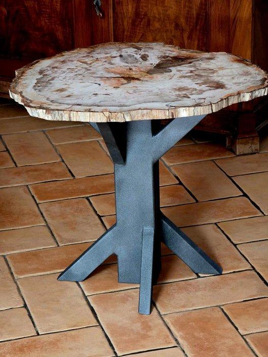 Gefossiliseerd hout - 56 cm - 63 cm, Verzamelen, Mineralen en Fossielen