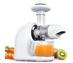 Slowjuicer - Voor Groente- en Fruitsap - Horizontale Slow, Electroménager, Mélangeurs de cuisine, Verzenden