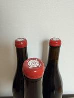 2024 Arnaud Lopez: Algogne, Solera, Roches - Bourgogne - 3