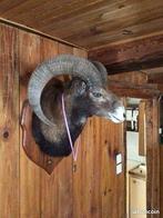 Jachttrofee, Antiek en Kunst