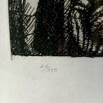 Luciano De Vita (1929-1992) - Le cose che volano