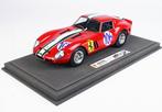 BBR 1:18 - Model sportwagen - Ferrari 250 GTO Team Waltham, Nieuw