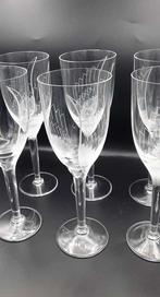 Lalique - Marc Lalique - Champagneglas (6) - Kristal -