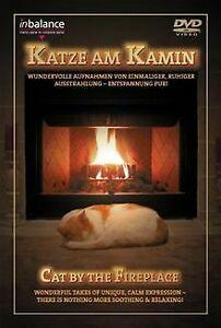 Katze am Kamin  DVD, CD & DVD, DVD | Autres DVD, Envoi