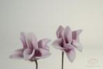 Cymbidium flower 12pc foambloem Skin Cymbidium flower 12pc, Huis en Inrichting, Nieuw