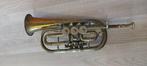 Regent Rotary Valve Cornet - - Instruments de musique (Sans, Muziek en Instrumenten, Nieuw
