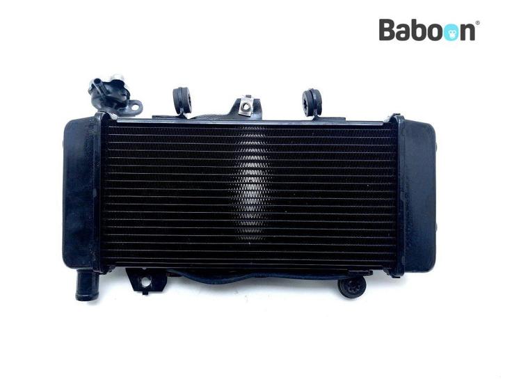 Radiateur Honda CB 300 R 2022-2024 (NC55 CB300R), Motoren, Onderdelen | Honda, Gebruikt, Verzenden