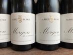 2023 Albert Bichot Les Charmes - Morgon - 12 Bouteilles, Nieuw