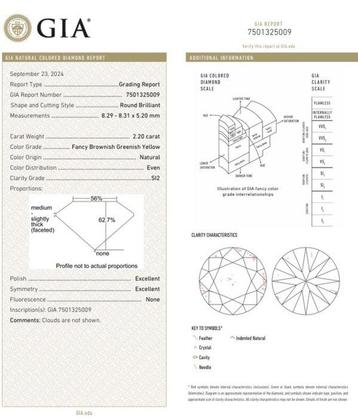 1 pcs Diamant (Natuurlijk gekleurd) - 2.20 ct - Rond - Fancy