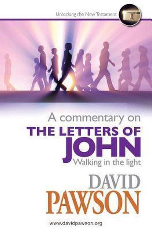 A Commentary on the Letters of John 9781909886698, Boeken, Taal | Engels, Gelezen, Verzenden