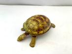 Günthermann - Blikken speelgoed - Crawling Turtle -