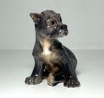 Dahl Jensen - Figurine - Schnauzer Puppy #1095 First sorting