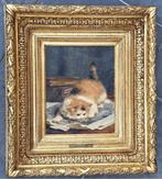 Charles van den Eycken (1854-1923) - Châton lisant un, Antiek en Kunst